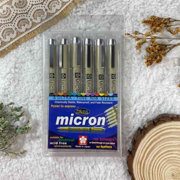 Sakura Micron Pen Set of 6